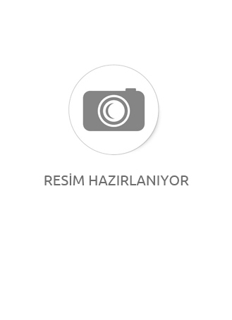 PENYE ALTIN